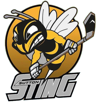 sutton-sting-png https://widneswild.co.uk/wp-content/uploads/2025/08/sutton-sting-png-320x340.png