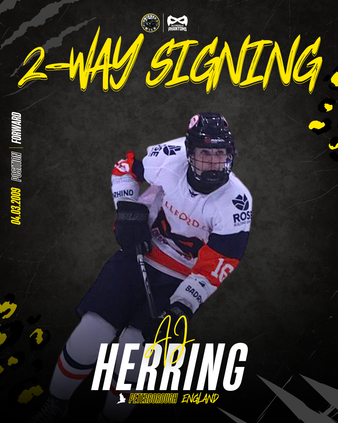 AJ Herring dives into the Wild